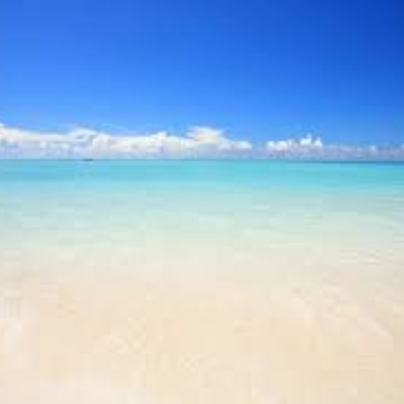 Meet your Posher, Lisa - Picture 2 of 3